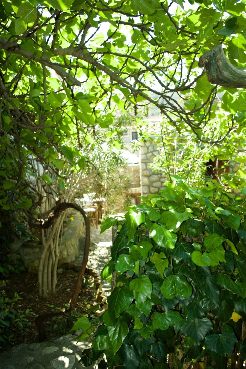 Studio Apartment for 2 Guests in Veli Lošinj