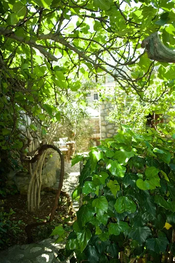 Studio Apartment for 2 Guests in Veli Lošinj