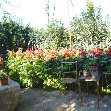 Two-Bedroom Apartment in Veli Lošinj for 4 Guests