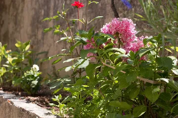 1-Bedroom Apartment for 2 in Veli Lošinj