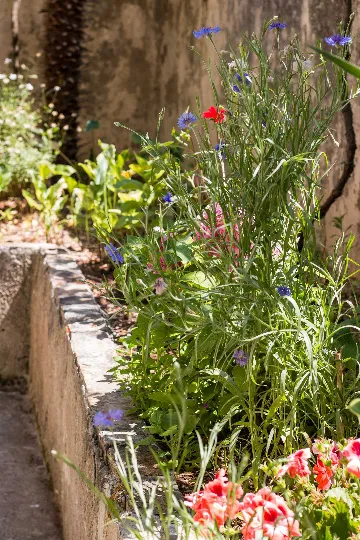 Veli Lošinj 1-Bedroom Apartment for Two