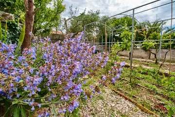 Mali Lošinj Holiday House for Up to 5 Guests