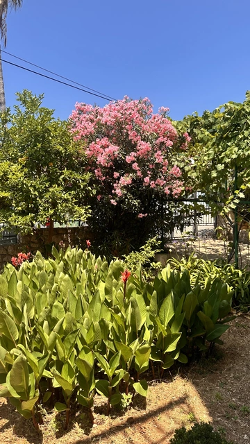 Cozy 1-Bedroom Apartment in Mali Lošinj