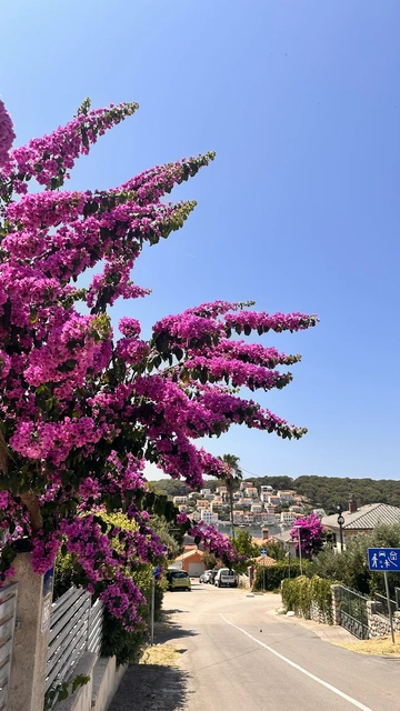 Cozy 1-Bedroom Apartment in Mali Lošinj