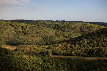 Guest Room in Sv. Petar u Šumi, Croatia