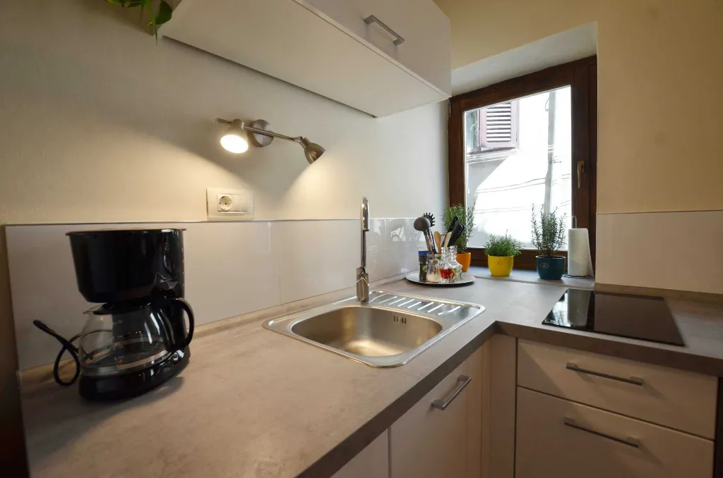 1-Bedroom Apartment in Rovinj for Up to 3 Guests
