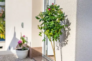 1-Bedroom Apartment in Baška with Outdoor Pool