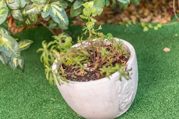 Baška Apartment for 6 Guests with Terrace & BBQ