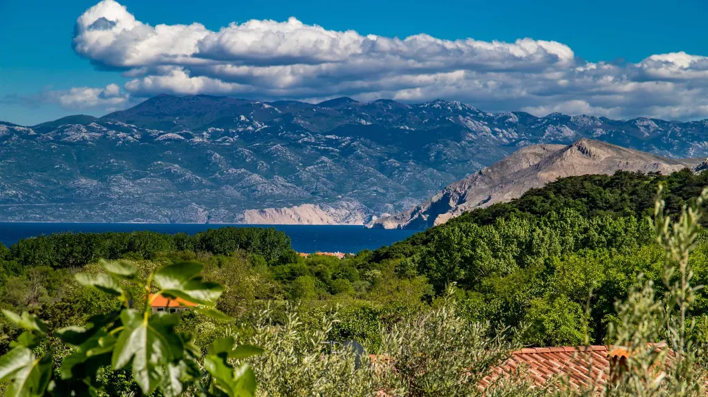 1-Bedroom Apartment in Baška for 2 Guests