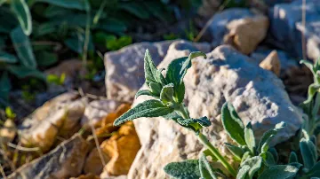 Baška Studio Apartment with Terrace and BBQ