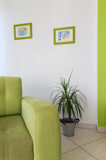 Pet-Friendly 1-Bedroom Apartment in Baška for 4