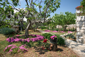 Baška 2-Bedroom Apartment for 4–6 Guests