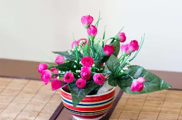 Air-Conditioned Studio in Dubrovnik with Fortress Views