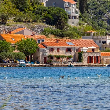 Dubrovnik Zaton Apartment with Sea Access & Terrace