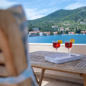 Dubrovnik Zaton Apartment with Sea Access & Terrace