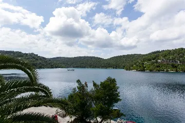 Polače Studio Apartment with Balcony and Sea View
