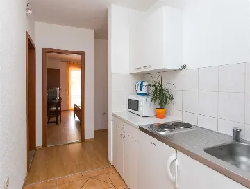 Two-Bedroom Apartment with Sea-View Terrace in Mljet