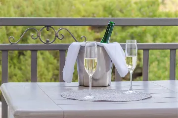 Studio in Mljet with Balcony & Sea View (Sleeps 2)