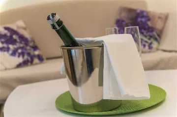 Studio with Sea and Pool View in Mljet