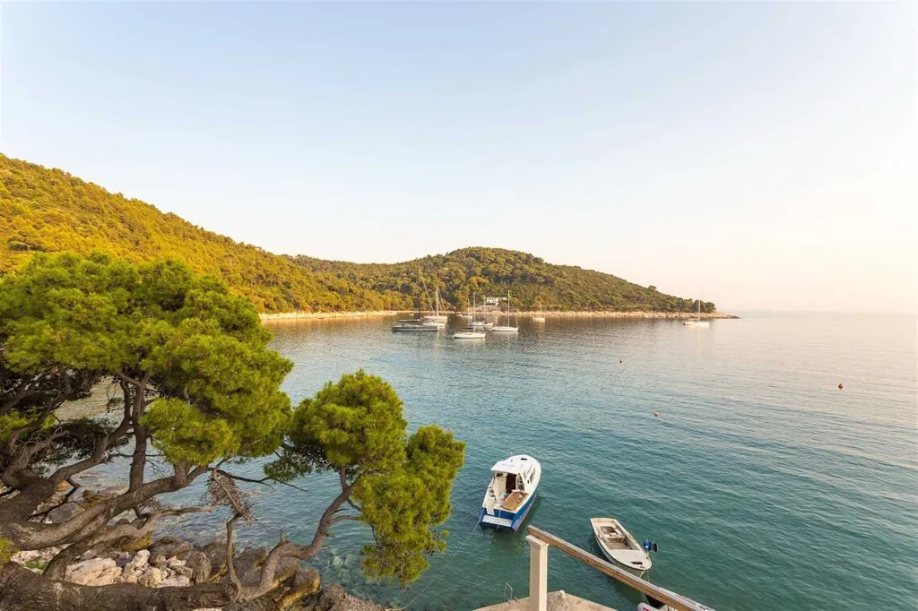 1-Bedroom Apartment for 4 in Mljet, Croatia