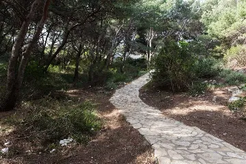 Saplunara 1-Bedroom Apartment with Pine Terrace