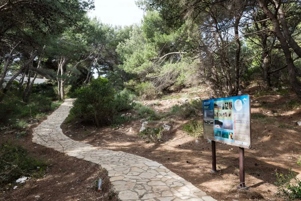 Saplunara 1-Bedroom Apartment with Pine Terrace