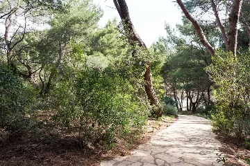 Saplunara 1-Bedroom Apartment with Pine Terrace