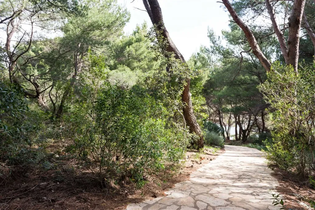 Saplunara 1-Bedroom Apartment with Pine Terrace