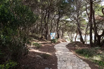 Saplunara 1-Bedroom Apartment with Pine Terrace