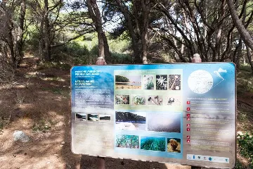 1-Bedroom Apartment in Saplunara with Terrace Garden View