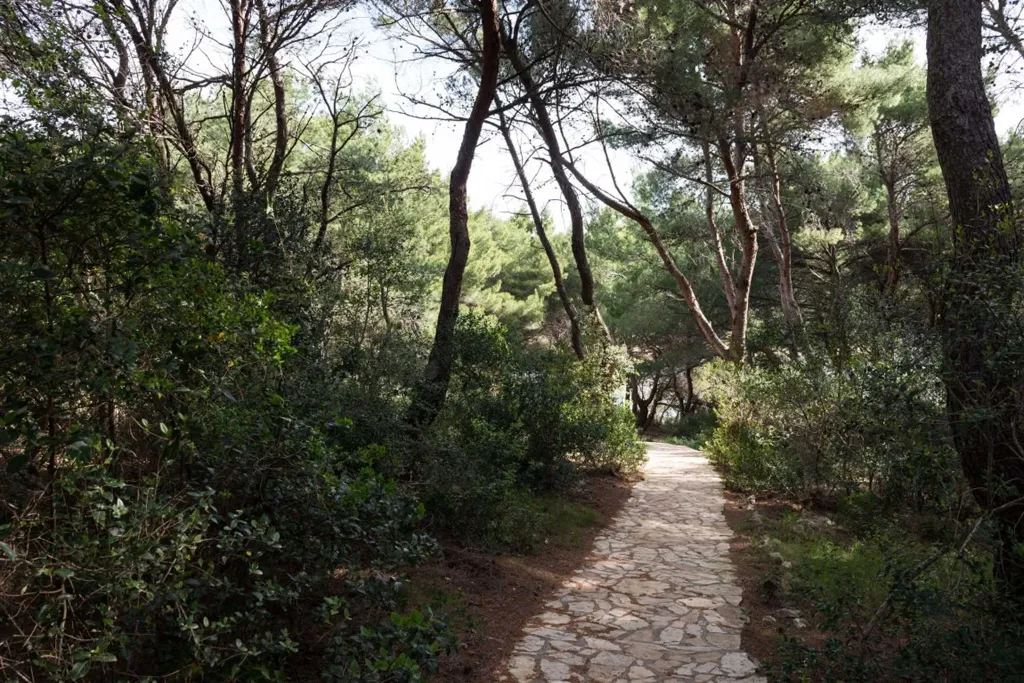 1-Bedroom Apartment with Terrace in Saplunara