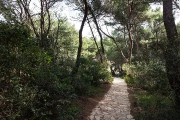 1-Bedroom Apartment with Terrace in Saplunara