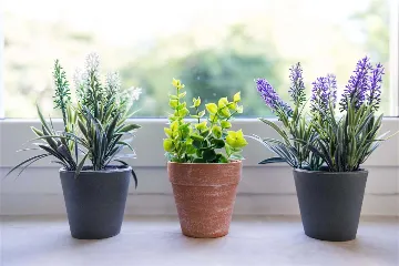 Dubrovnik Apartment with Private Balcony (Sleeps 5)