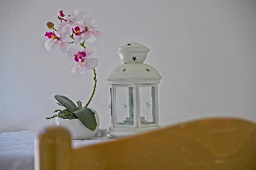 Apartment in Mljet with Balcony and Sea View for 4