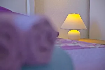 Mljet One-Bedroom Apartment with Sea-View Balcony