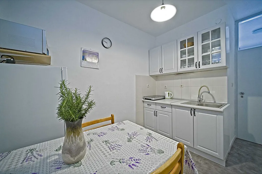 One-Bedroom Apartment in Mljet with Balcony