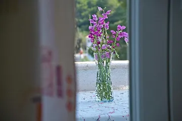 One-Bedroom Apartment in Mljet with Balcony