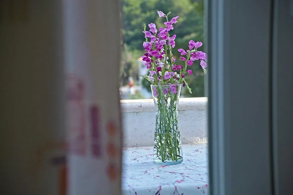 One-Bedroom Apartment in Mljet with Balcony