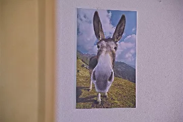 Two-Bedroom Apartment with Terrace in Mljet