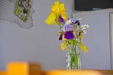 Two-Bedroom Apartment with Terrace in Mljet