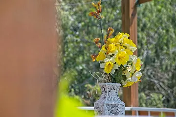 Two-Bedroom Apartment with Terrace in Mljet