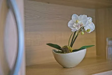 Studio for 2 in Mljet with Forest View