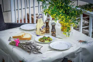 Studio for 2 in Mljet with Forest View