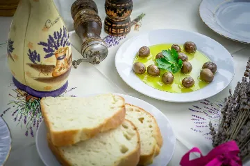 Studio for 2 in Mljet with Forest View