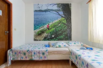 Twin Room in Mljet with Private Bathroom