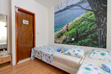 Twin Room in Mljet with Private Bathroom