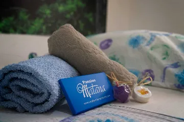 Twin Room in Mljet with Private Bathroom