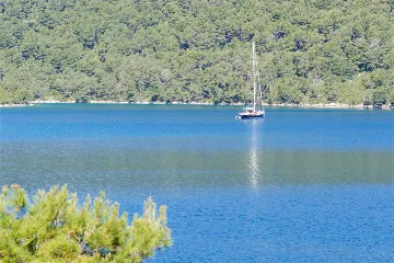 Polače 1-Bedroom Apartment with Balcony and Sea View