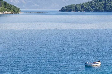 Polače 1-Bedroom Apartment with Balcony and Sea View