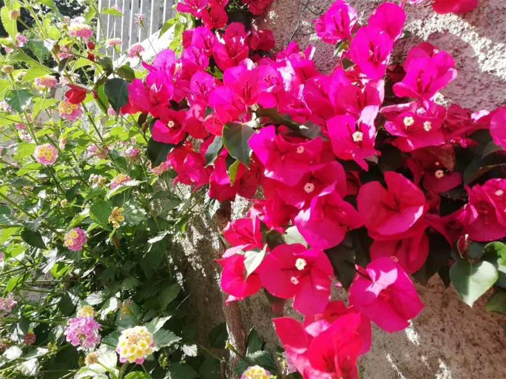 Air-conditioned 1-Bedroom Apartment for 2 in Dubrovnik